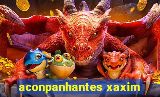 aconpanhantes xaxim